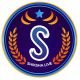 usa logo (12)